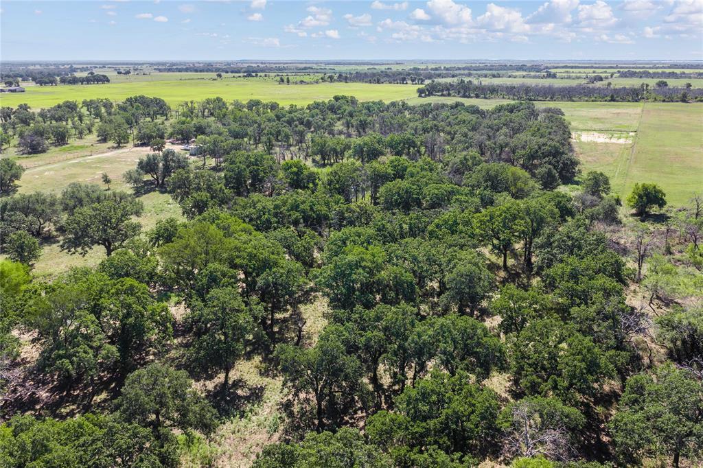 Tbd County Road 309 Property Photo 6