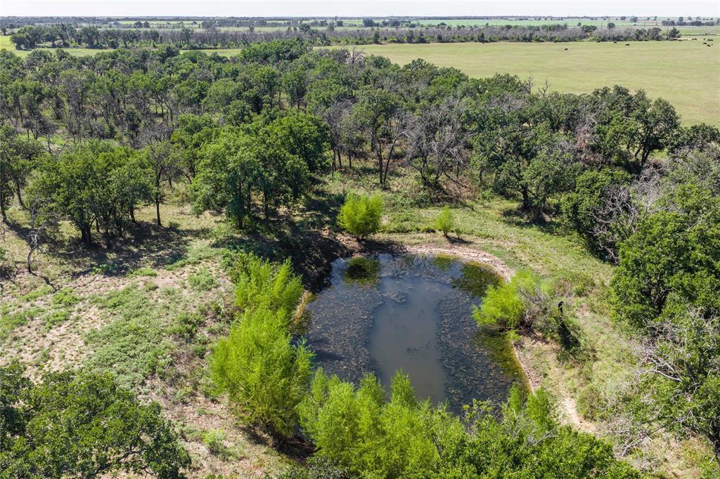 Tbd County Road 309 Property Photo 11