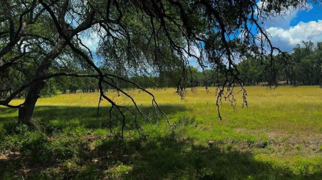 Lot 26 Swiss Ranch Rd Property Photo 1