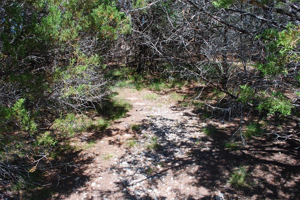 11030 Juniper Drive Property Photo 1