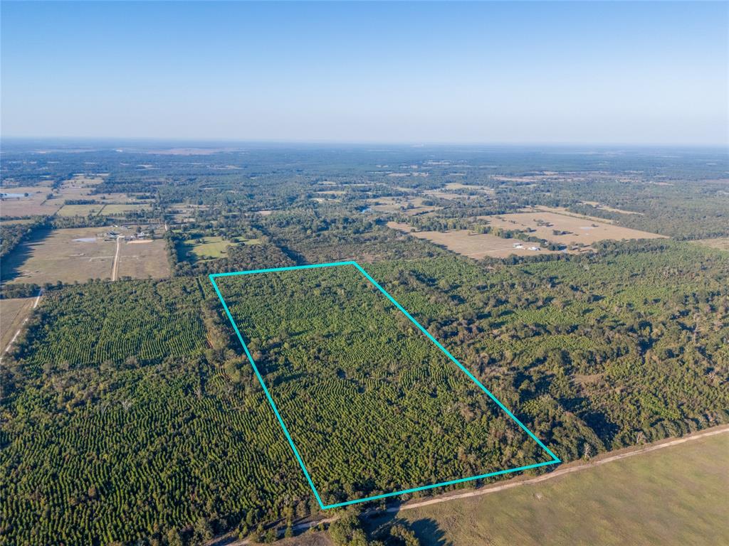 Tbd S County Road 2242 Tract 2 Property Photo 1