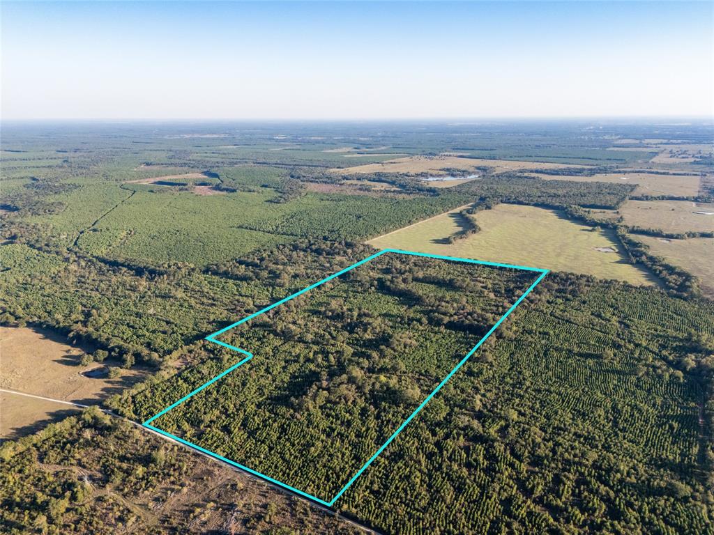 Tbd S County Road 2242 Tract 3 Property Photo 1