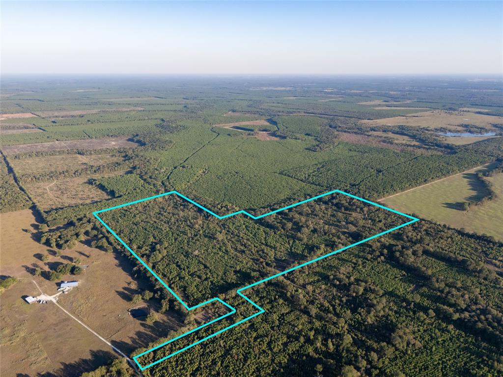 Tbd S County Road 2242 Tract 4 Property Photo 1