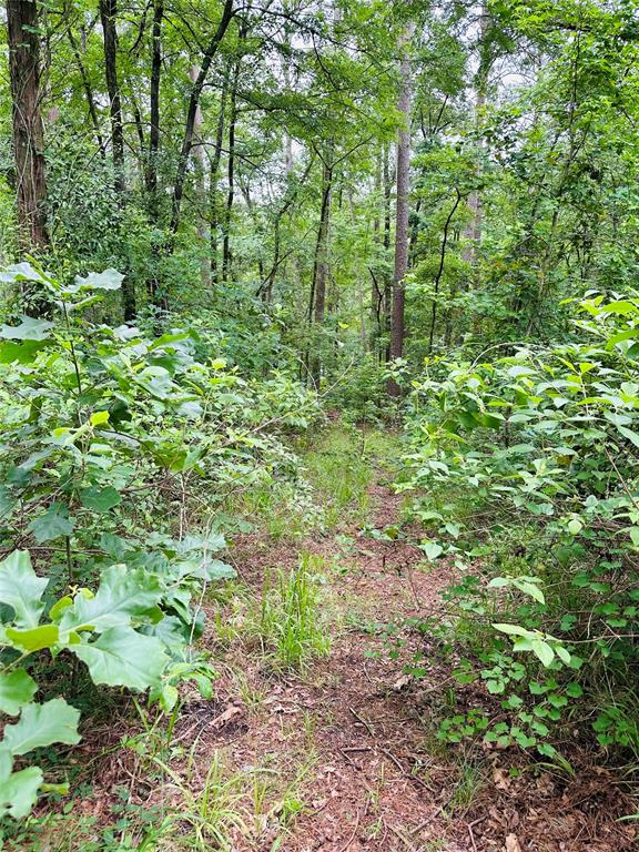 Tbd County Road 4590 Property Photo 4