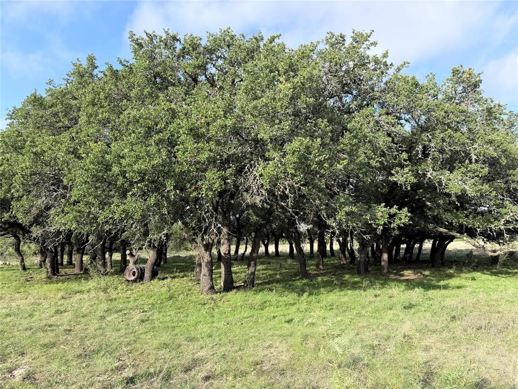 Tbd Tract 12 And 13 Mesa Ridge Property Photo 3