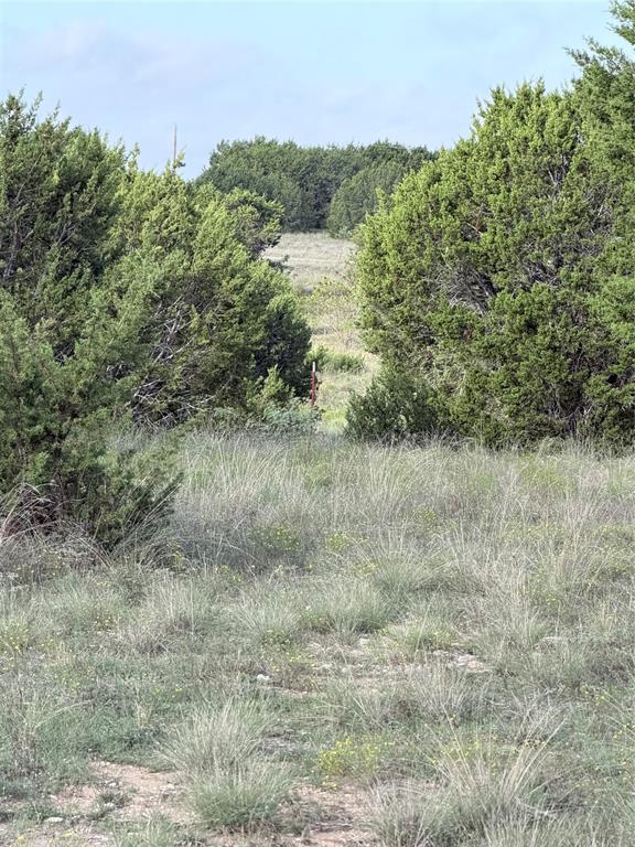 Tbd Tract 12 And 13 Mesa Ridge Property Photo 15