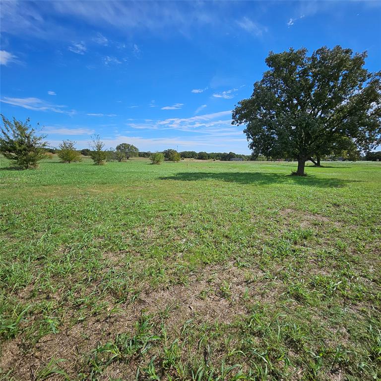160 Rolling Hills Boulevard Property Photo 3
