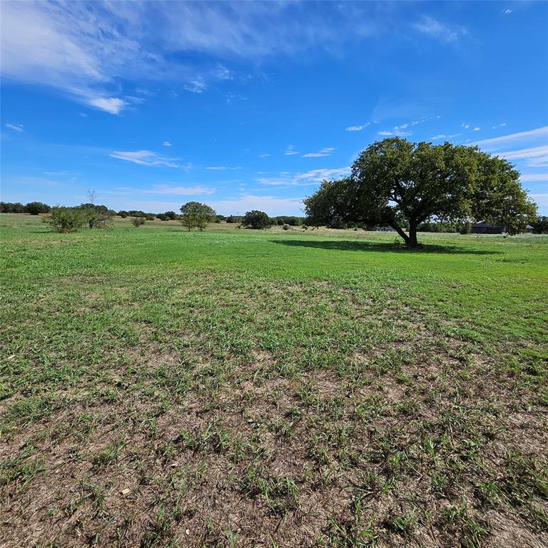 160 Rolling Hills Boulevard Property Photo 4