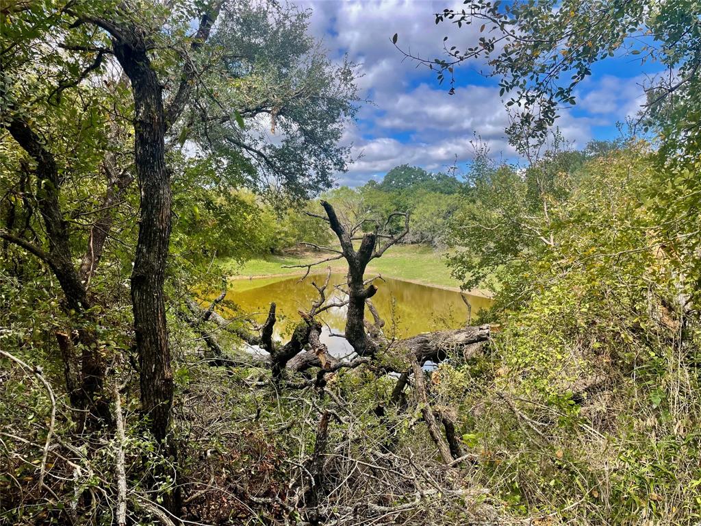 000 Cr 340 Property Photo 3