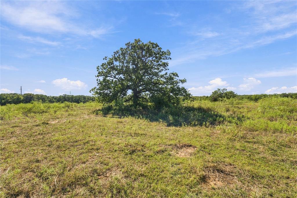 Tract 8 County Road 3671 Property Photo 1