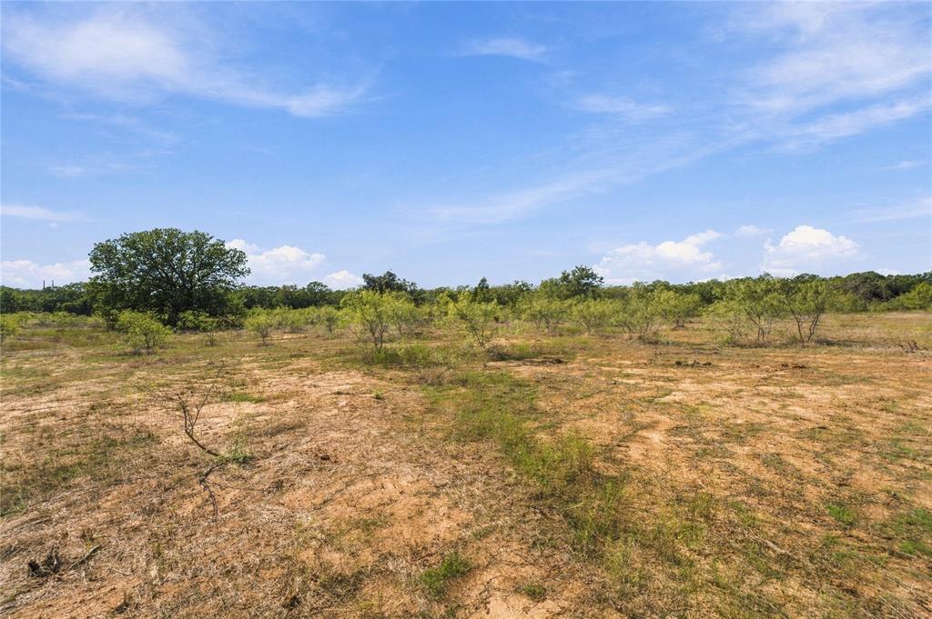 Tract 8 County Road 3671 Property Photo 4
