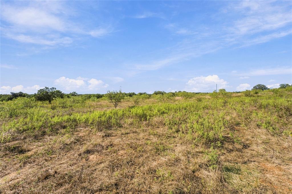 Tract 8 County Road 3671 Property Photo 6