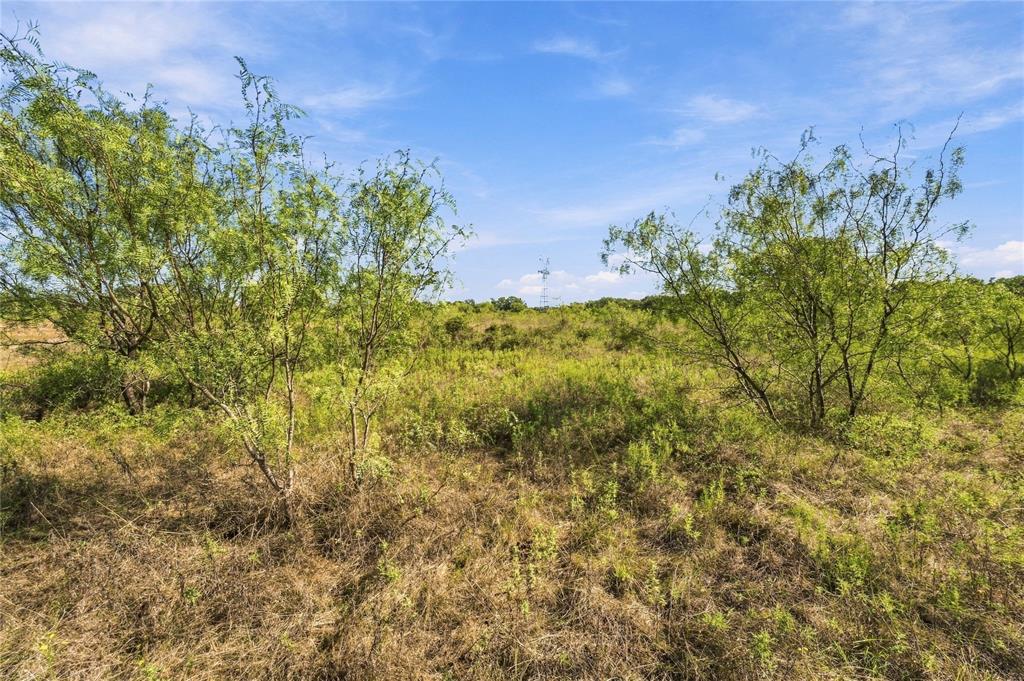 Tract 8 County Road 3671 Property Photo 7