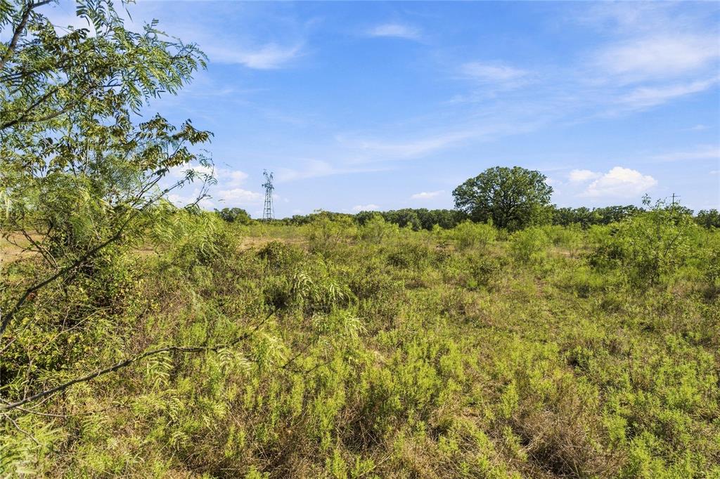 Tract 8 County Road 3671 Property Photo 9