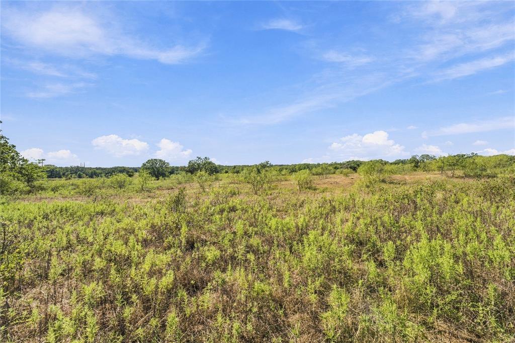 Tract 8 County Road 3671 Property Photo 11