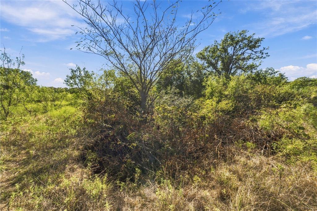Tract 8 County Road 3671 Property Photo 13