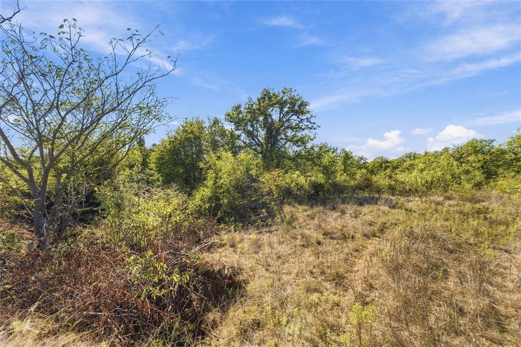 Tract 8 County Road 3671 Property Photo 16