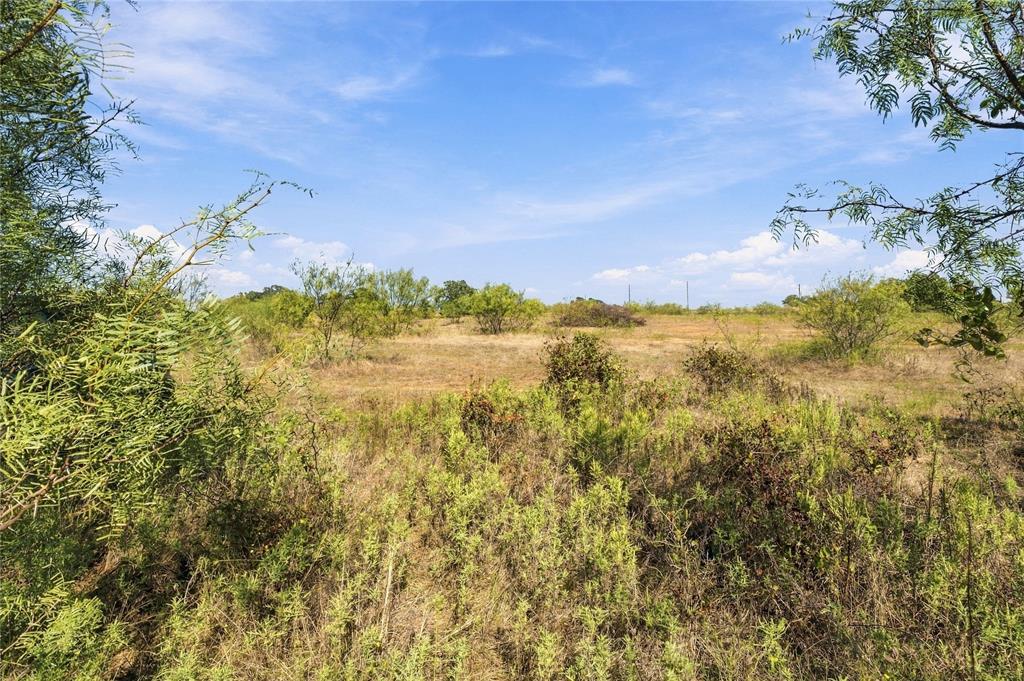 Tract 8 County Road 3671 Property Photo 17