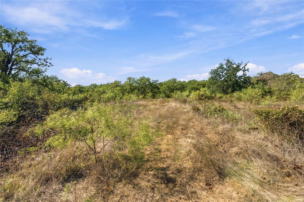 Tract 8 County Road 3671 Property Photo 20