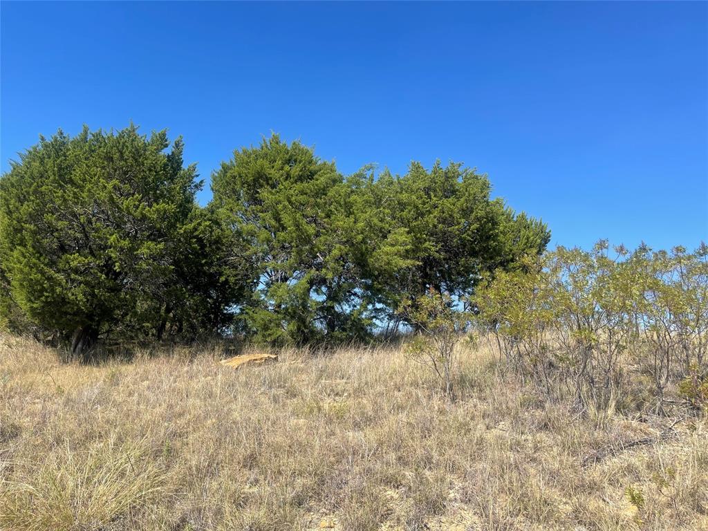 1030 Raven Circle Property Photo 4