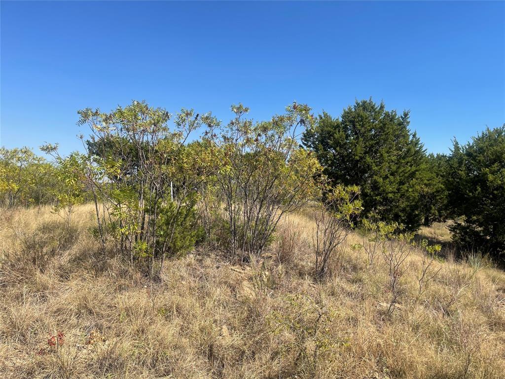 1030 Raven Circle Property Photo 8