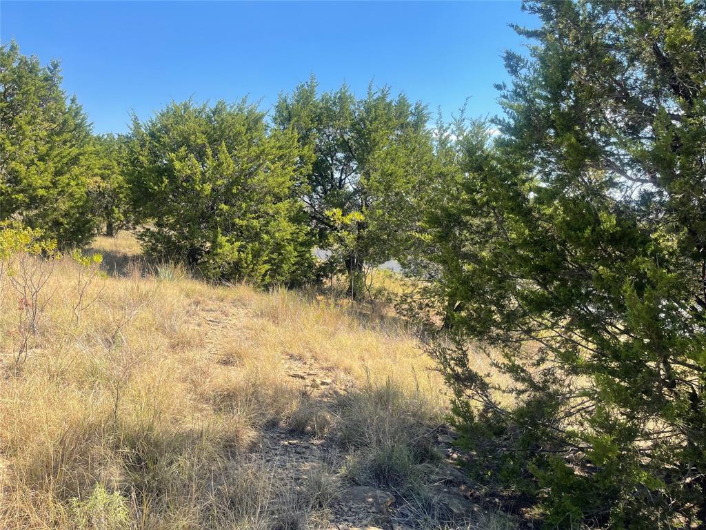 1030 Raven Circle Property Photo 9
