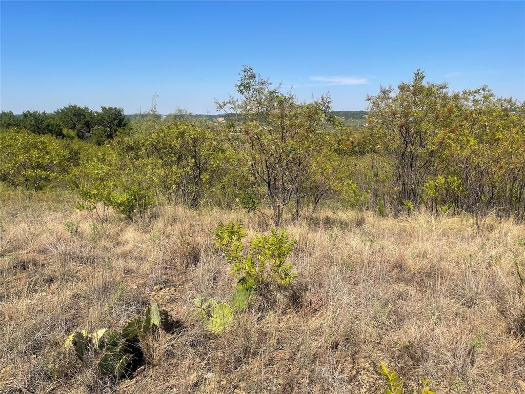 1030 Raven Circle Property Photo 10