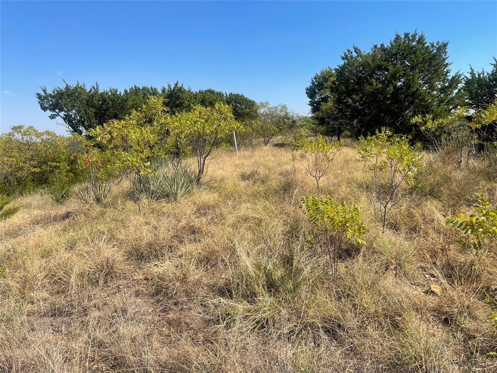1030 Raven Circle Property Photo 11