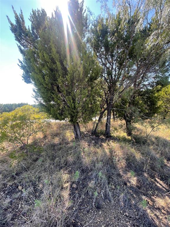 1030 Raven Circle Property Photo 14