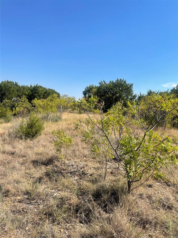 1030 Raven Circle Property Photo 15