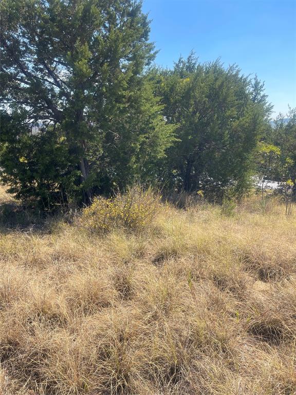 1030 Raven Circle Property Photo 18