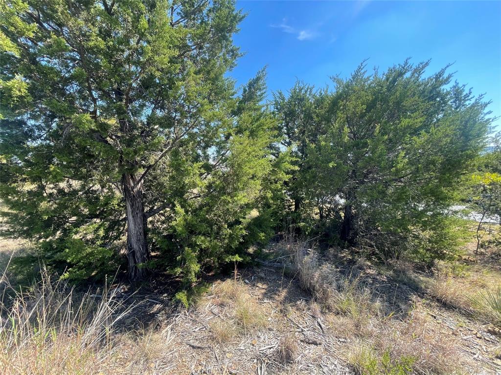 1030 Raven Circle Property Photo 19