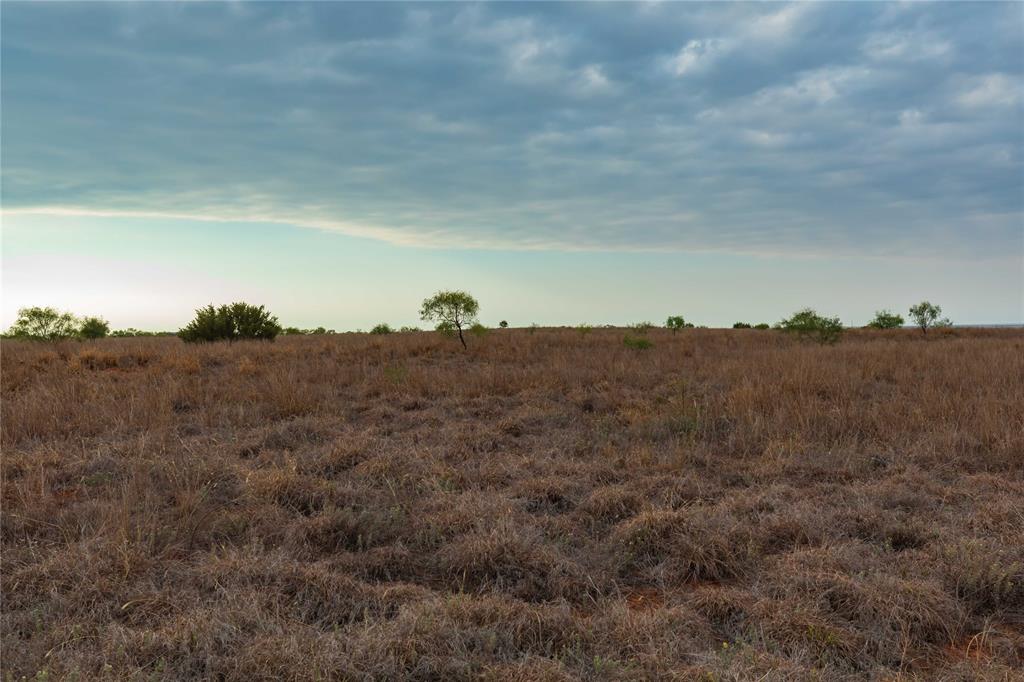 Tbd Fm 2834 Property Photo 1