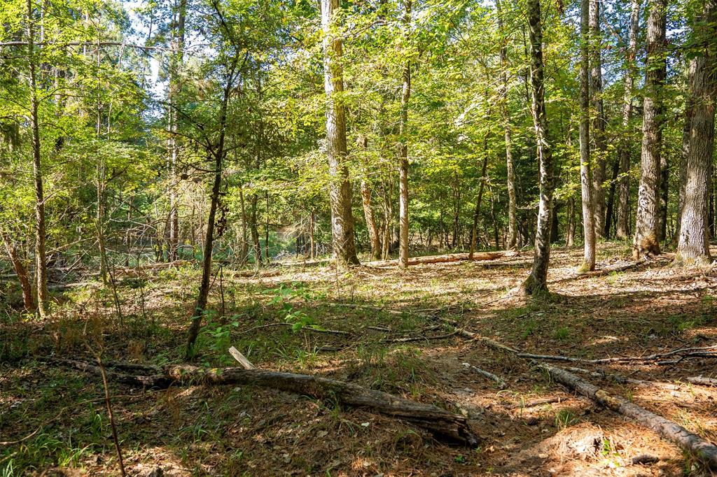 1309 County Road 2619 Property Photo 30