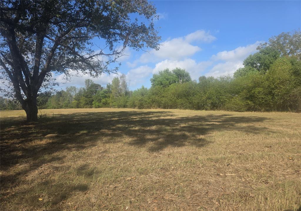 0 Old Sarepta Church Road Property Photo 1