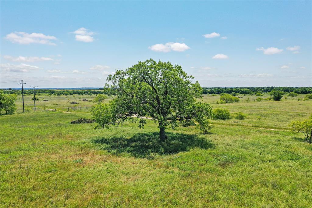 55.06 Acres 281 Highway Property Photo 1