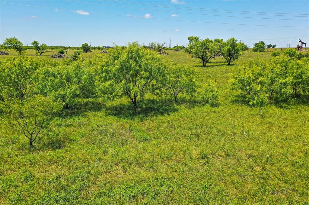 55.06 Acres 281 Highway Property Photo 2