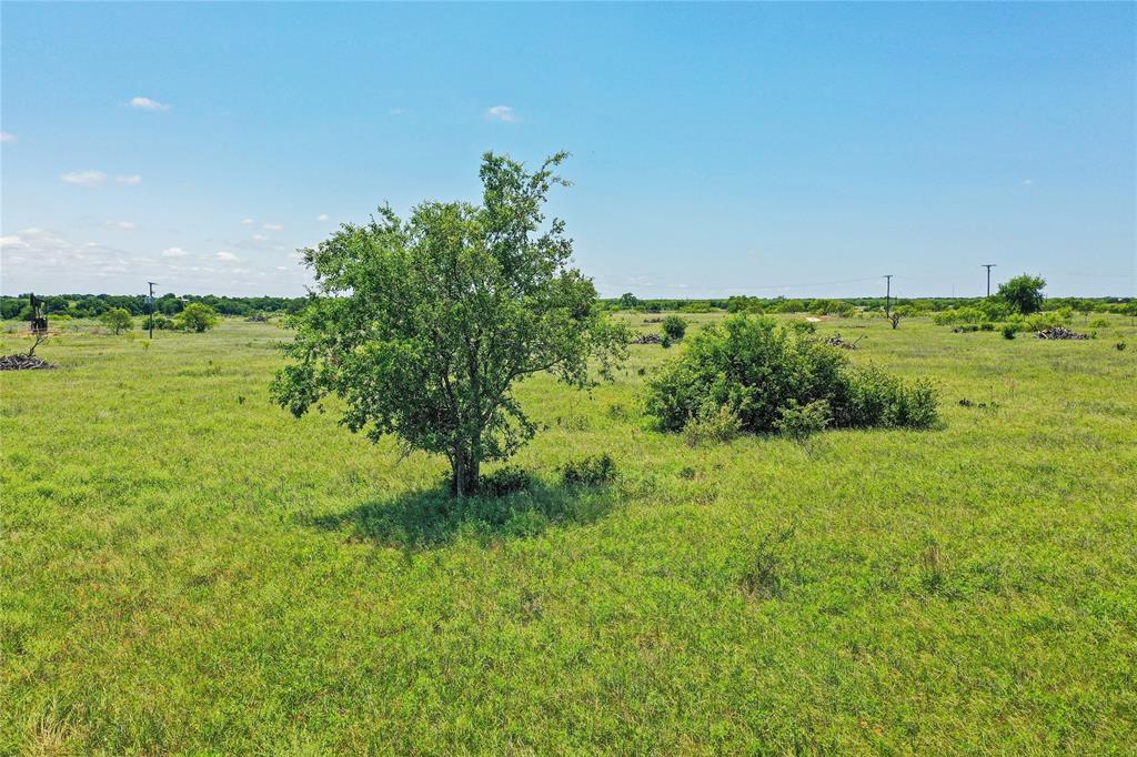 55.06 Acres 281 Highway Property Photo 14