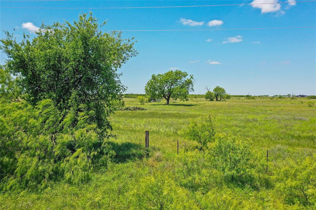 55.06 Acres 281 Highway Property Photo 15