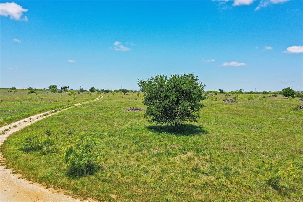 55.06 Acres 281 Highway Property Photo 16