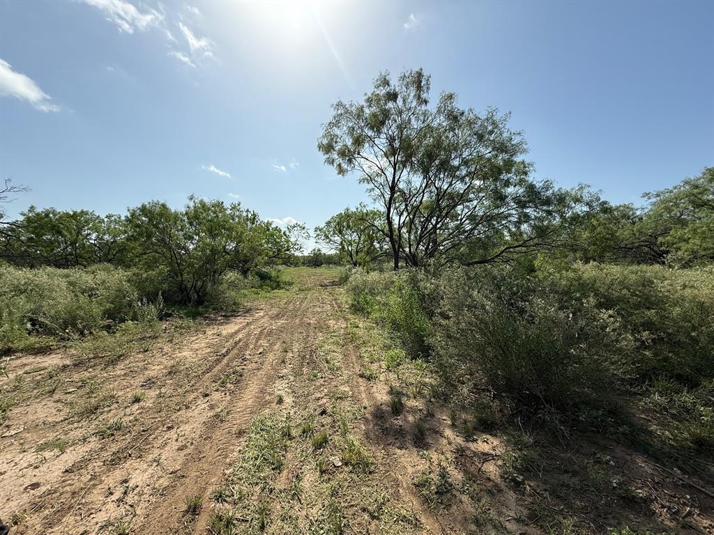 950 Cr 442 Property Photo 10