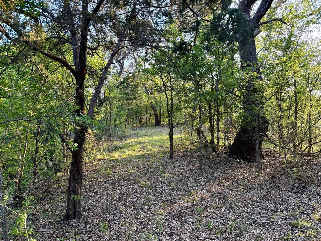 950 Cr 442 Property Photo 12