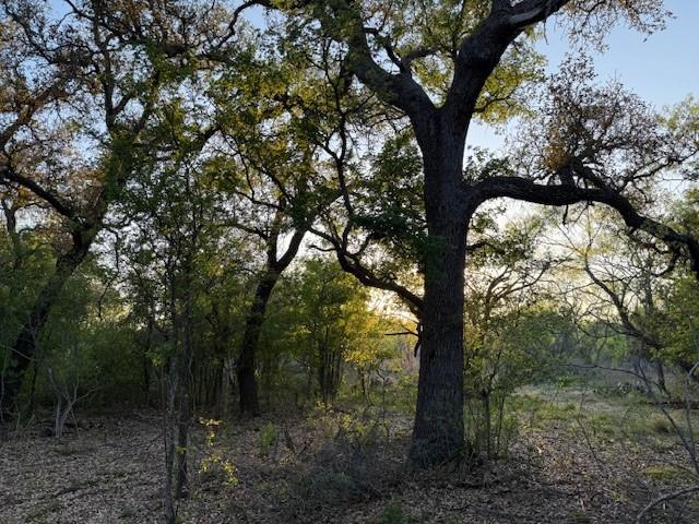 950 Cr 442 Property Photo 13