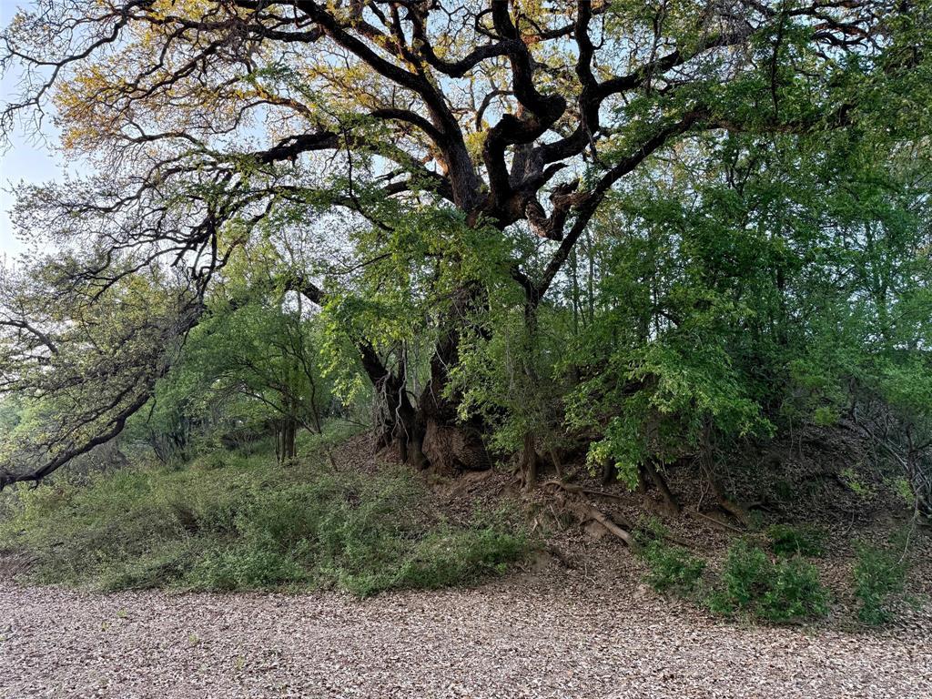 950 Cr 442 Property Photo 14