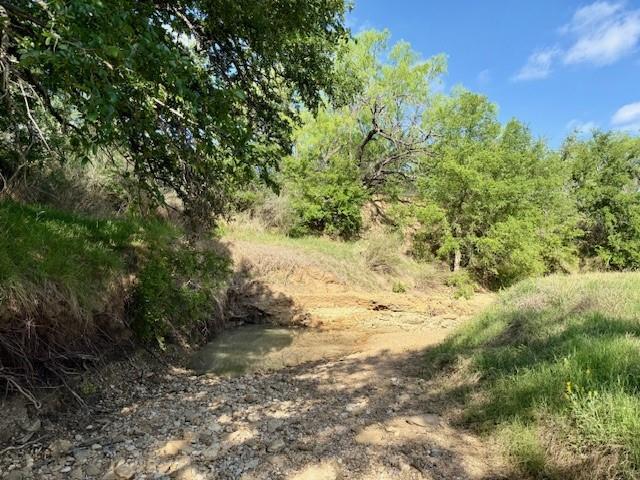 950 Cr 442 Property Photo 19