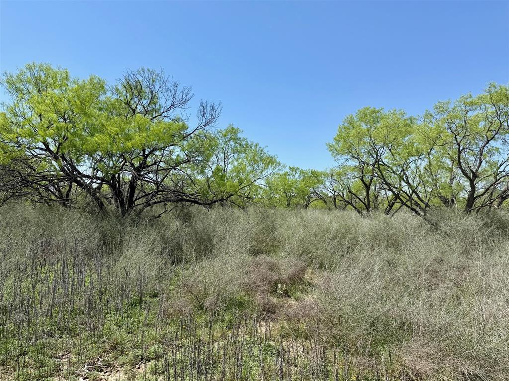 950 Cr 442 Property Photo 20