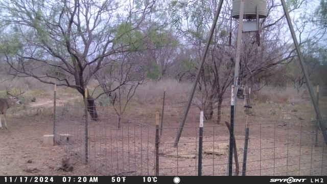 950 Cr 442 Property Photo 21