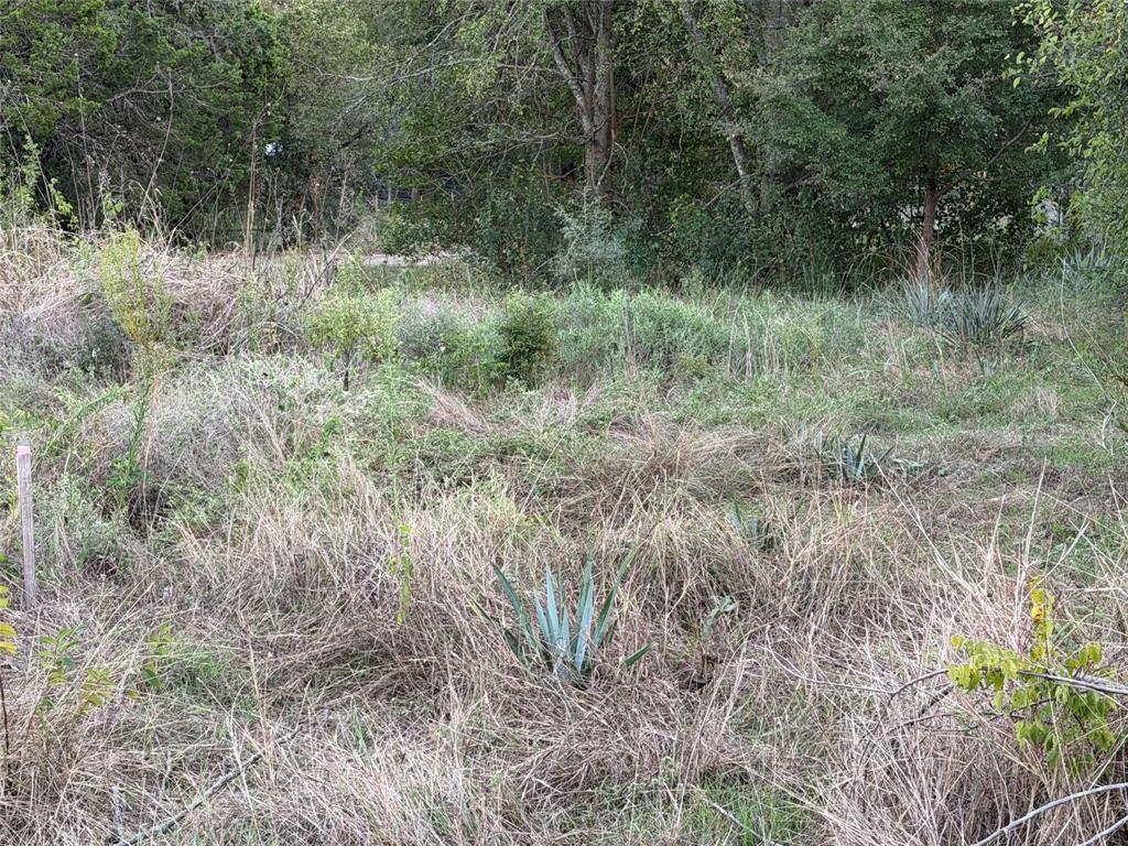 Tbd Cr 1772 Property Photo 1