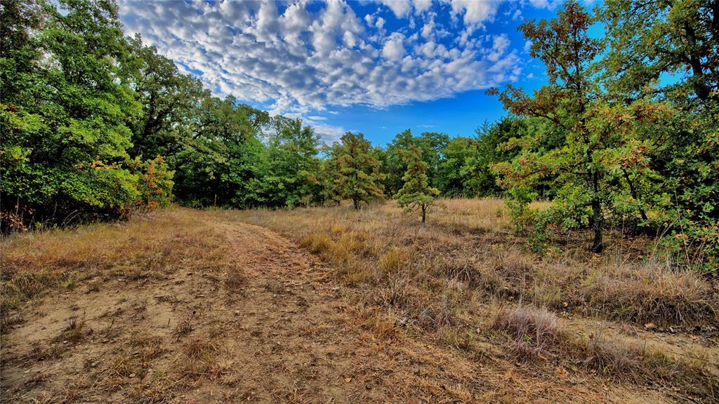 Tbd Starkey Road Property Photo 1