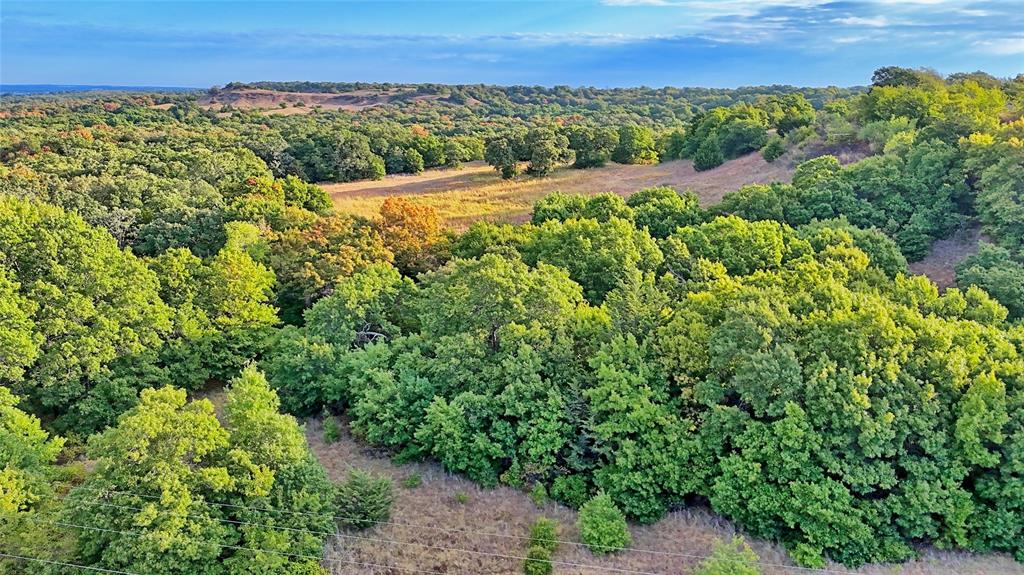 Tbd Starkey Road Property Photo 6